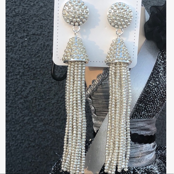 Beautiful Beaded Drop Earrings Silver Base
